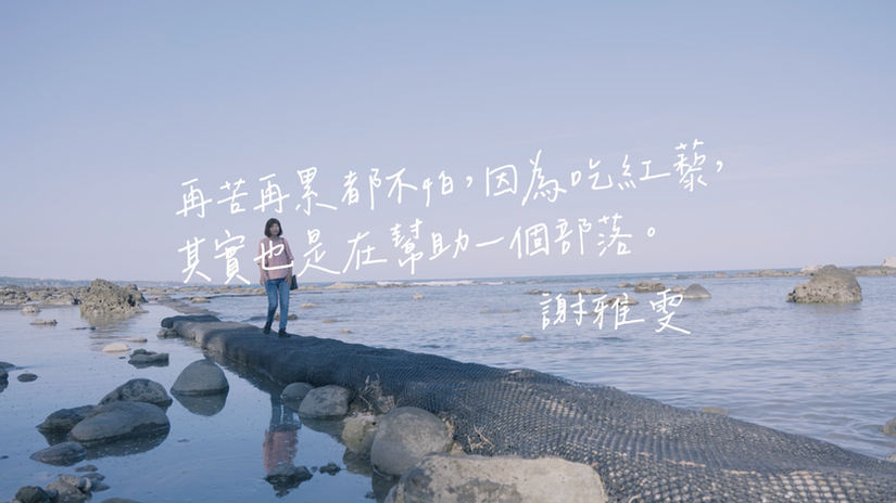 【城鄉島遊】臺東：德朱利斯